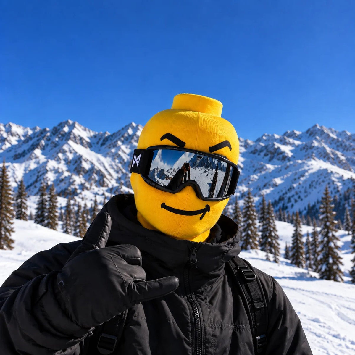 Funny Ski Mask